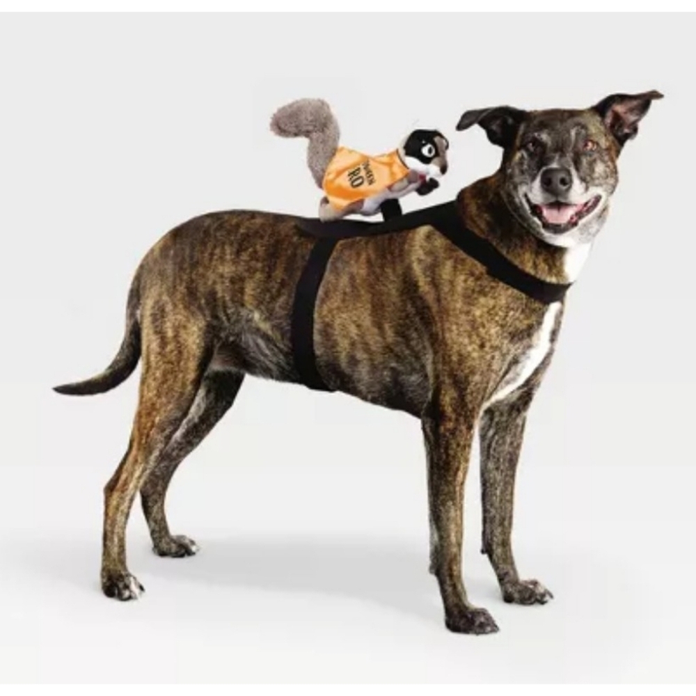 Hyde & Eek! Pet Superhero Squirrel Rider  Costume Size XXS/XS